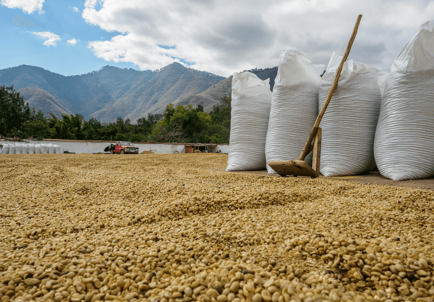 From Source to Market: Leading Cocoa Butter Trading Solutions